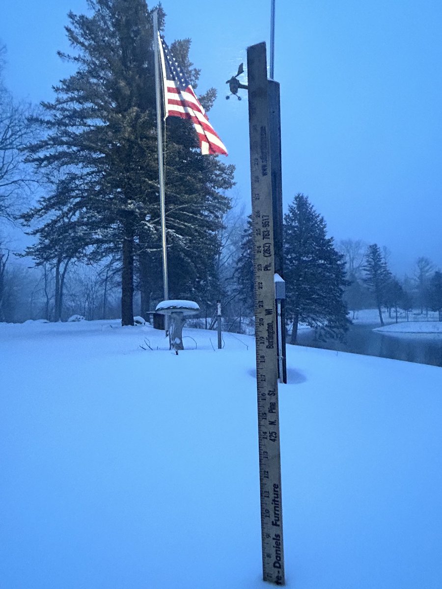 Michelle tweet media