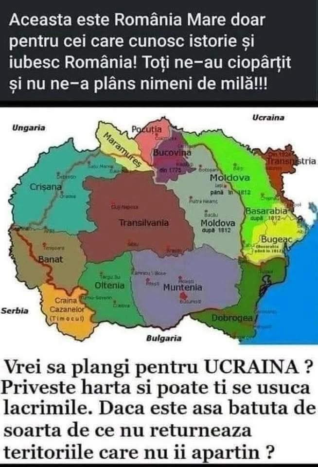juuchan tweet media