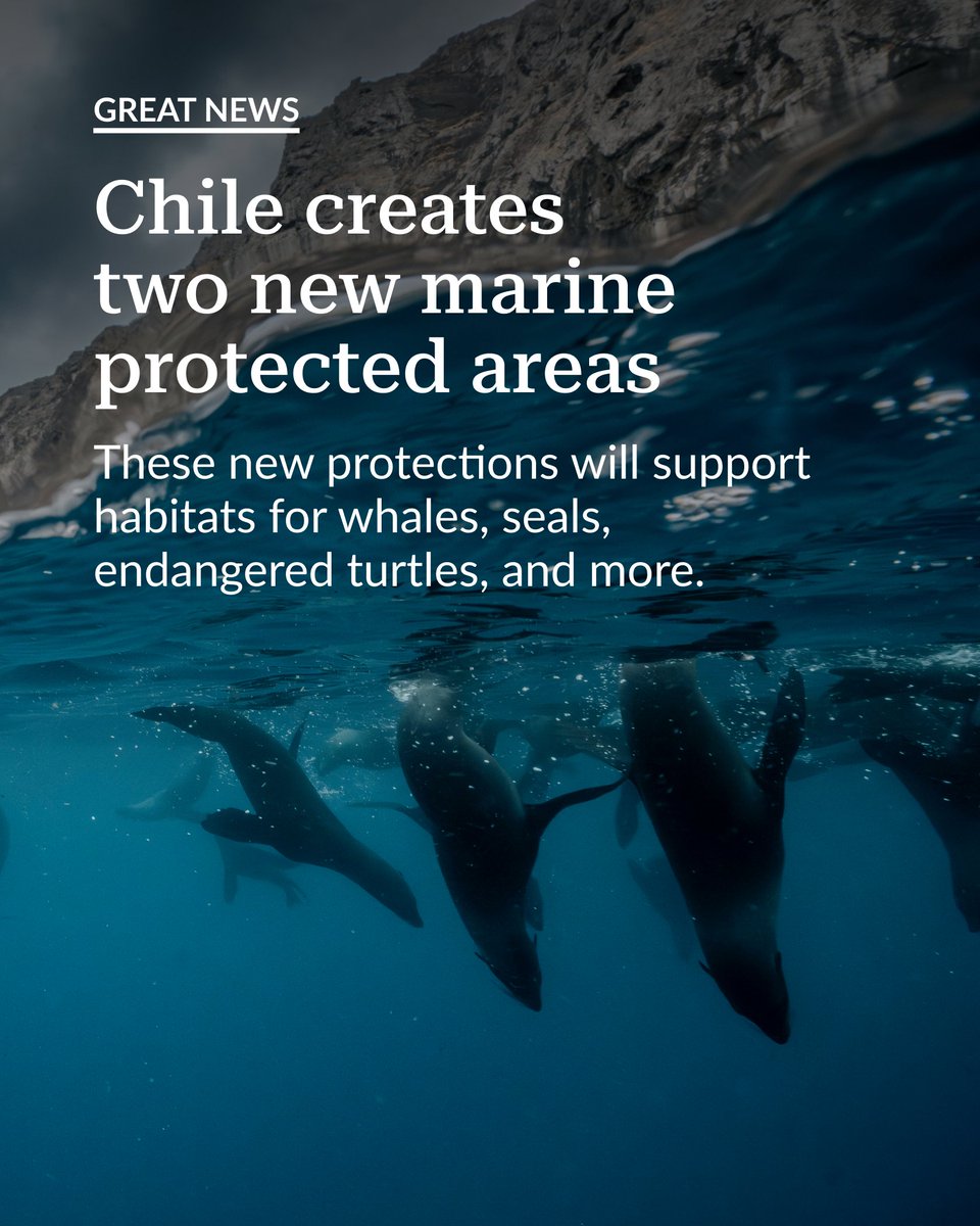 Pew Environment tweet media