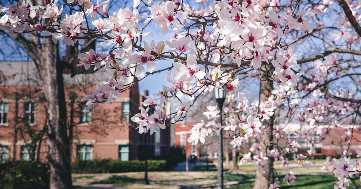 Meredith College tweet media