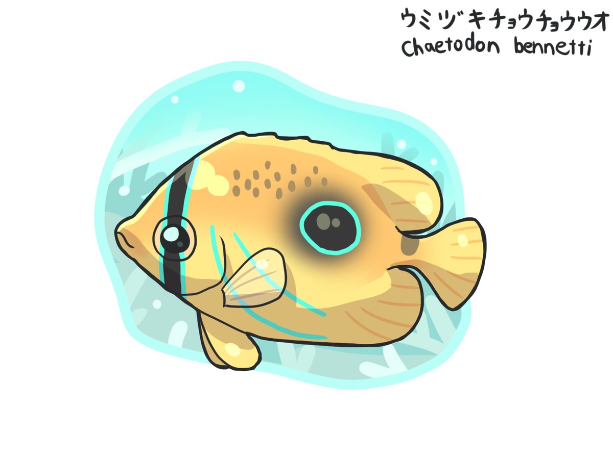 ととげ🐟️ tweet media
