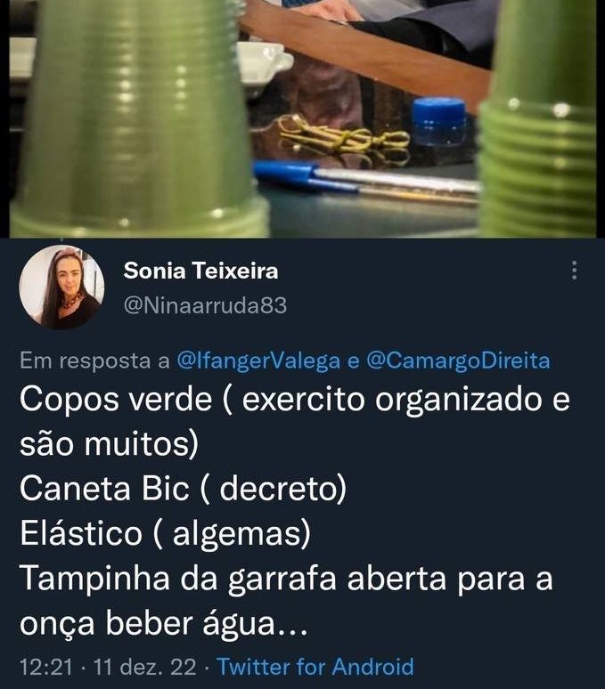 Acervo Ladybug tweet media