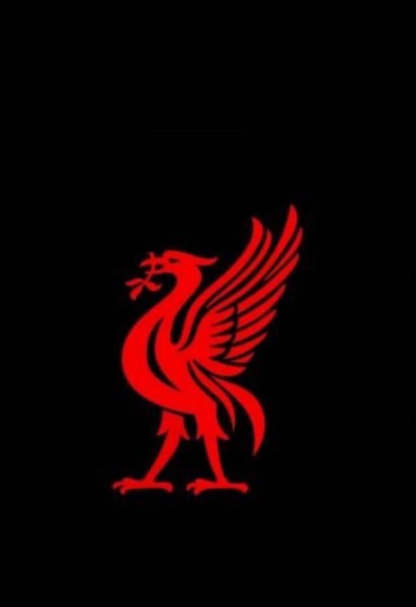 sayed_llly tweet media