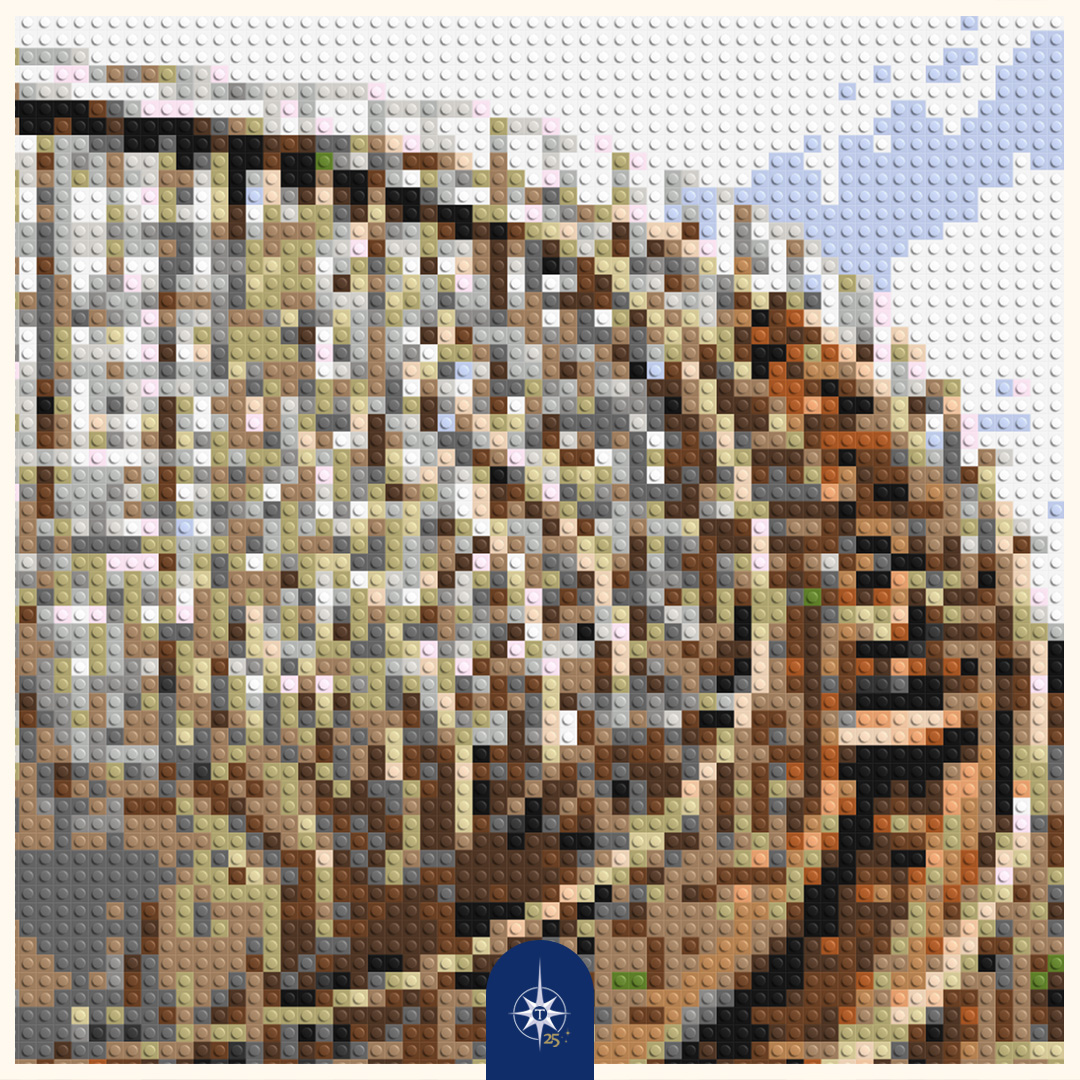 Attractiepark Toverland tweet media