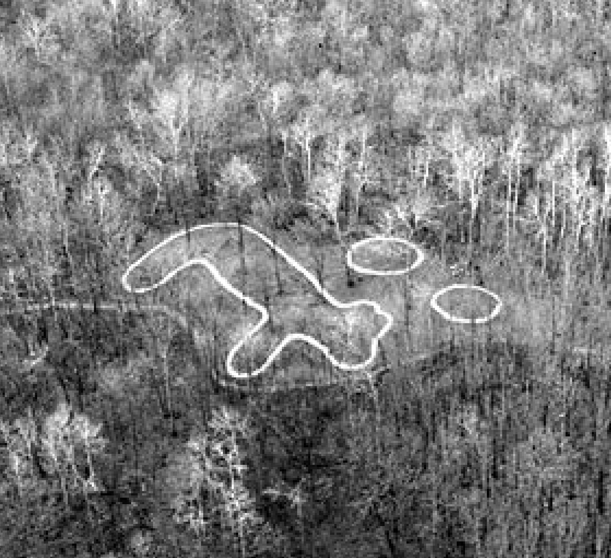 Gregory L Little, Ed.D. tweet media