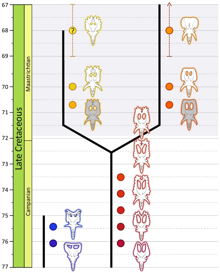 Diversity MDPI tweet media
