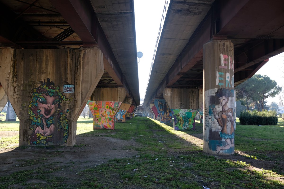 Portale Giovani tweet media