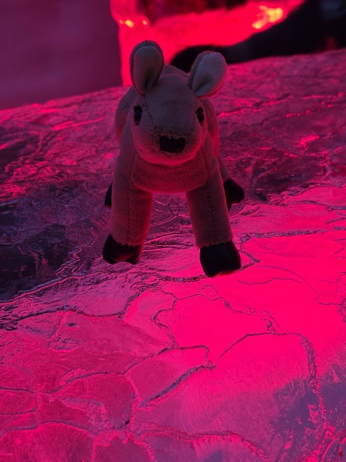 Kinter 🌿 tweet media