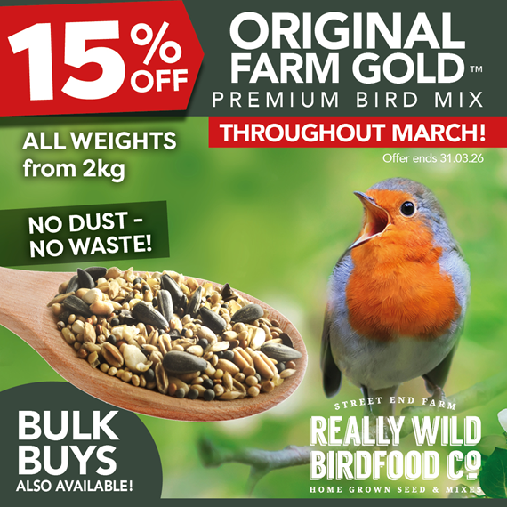 Really Wild Bird Food tweet media