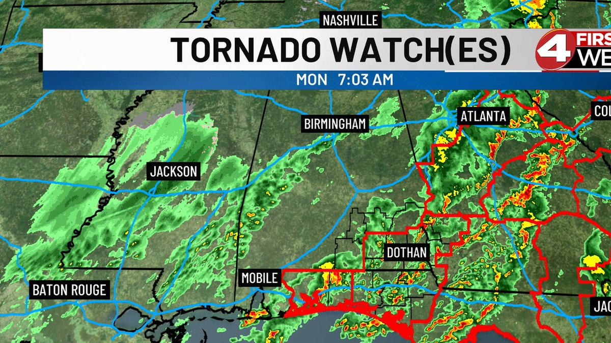 David Paul tweet media