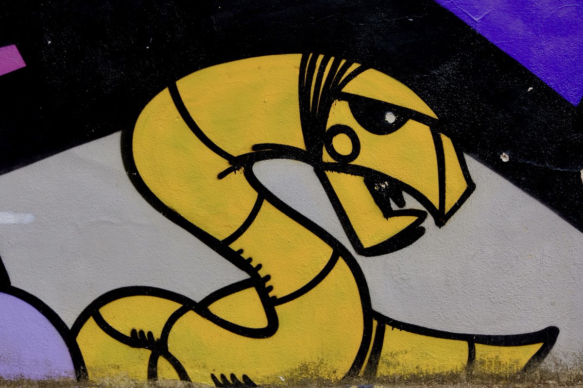 Portale Giovani tweet media