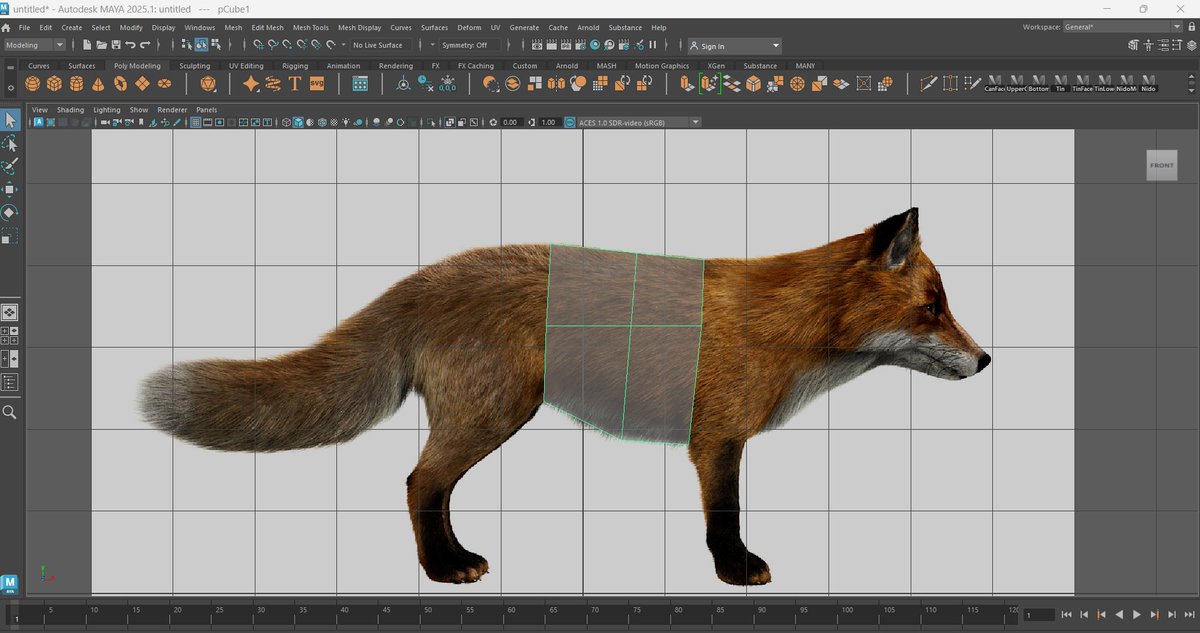 lailah_grant's tweet photo. Modelling a fox in Autodesk Maya

An advanced modelling lesson on The UC Berkeley Undergraduate Graphics Group (UCBUGG) and it's really an advanced one

I've had a crocked neck, failure to mirror and unproportional limbs

#3DAnimation #AutodeskMaya #TechInUganda #LearningInPublic https://t.co/bSDuuJKfIh