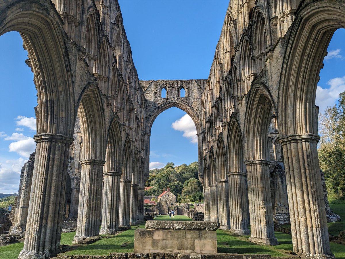 🌼🍋Helencello🍋🌼 tweet media