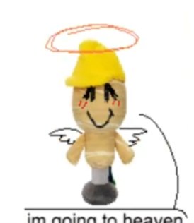 davis🪽 tweet media