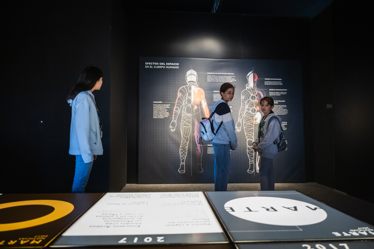 Ciudad Artes Ciencia tweet media