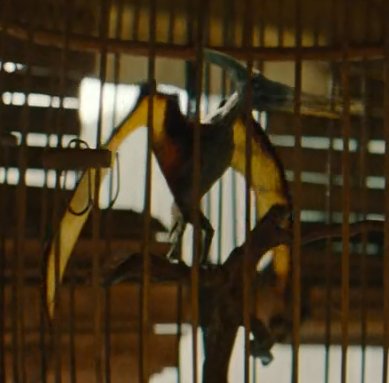 -Paleonyx- (COMMISSIONS OPEN)- tweet media