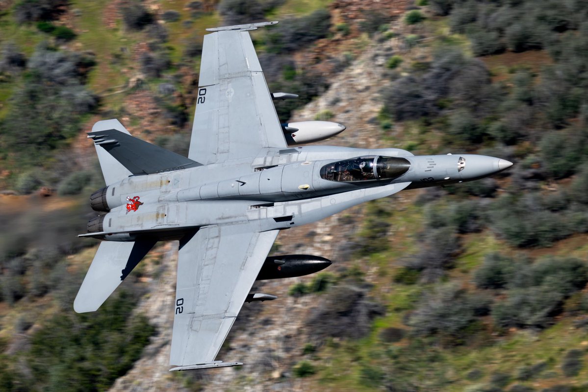 Shirakumo tweet media