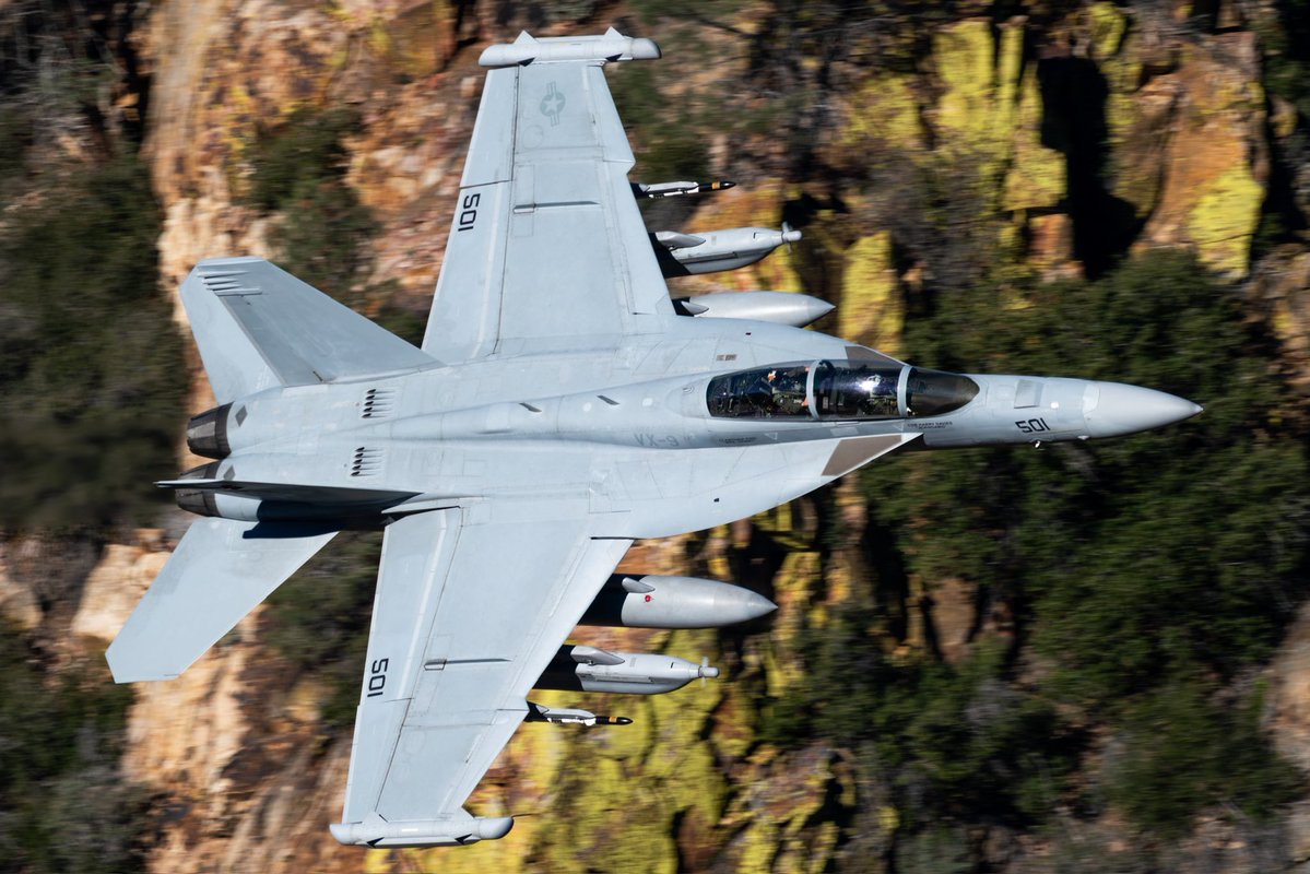 Shirakumo tweet media