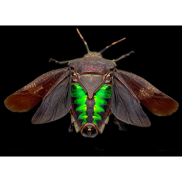 alternativephot's tweet image. Alternative photographic processes are  associated with monochrome —but many are naturally full of colour. For our Calendar COLOUR event:

➥Bob Rogers
➥David Aimone
➥Ellie Young
➥John Brewer

All entries:
👉 alternativephotography.com/calendar-event…

#altprocess #alternantiveprocesses