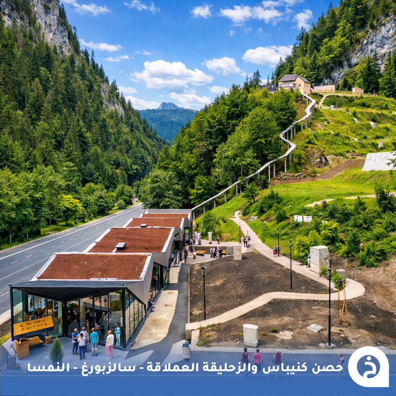 TouristMapsApp's tweet photo. حصن كنيباس والزحليقة العملاقة #النمسا🇦🇹 

من أحدث الوجهات السياحية في منطقة #سالزبورغ بوادي Saalachtal وسط جبال الألب. كان حصناً تاريخياً لحماية الطريق التجاري بين النمسا وألمانيا، وتم تطويره حديثاً ليضم ممشىً تفاعلياً يروي تاريخ الحدود في المنطقة، إضافة إلى (أطول وأعلى زحليقة أنبوبية في جبال الألب) مع مقهى ومطعم بإطلالات جميلة على الطبيعة، يبعد عن منطقة #زيلامسي 40دقيقة🏰🏔️🎢☕️🌲📸😍↓
Fort Kniepass
📍https://t.co/X7vyhNAjyT

•  مُضاف في خريطة النمسا السياحية.