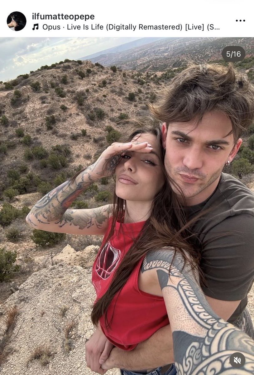 lisa cat 🐈⬛ tweet media