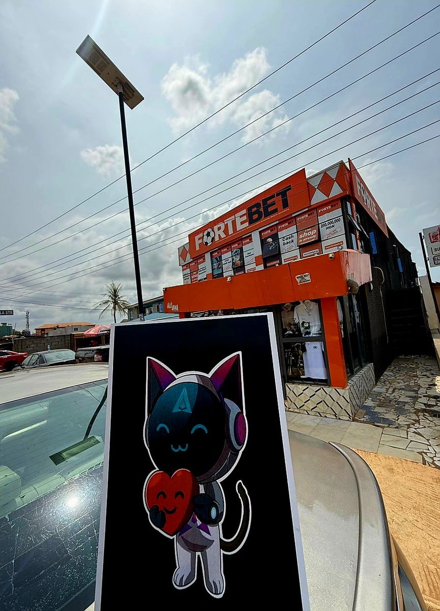 Trip with Mochi in Lagos 

I went on a short trip around Lagos today, and Mochi was with me the entire time. I buckled Mochi into the passenger seat while we drove through the busy streets of the city.

Mochi spent most of the ride looking out the window and taking everything in.