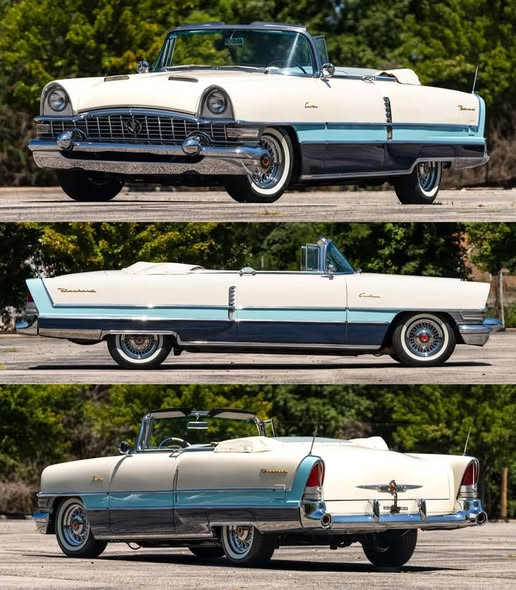 Maurice Julien tweet media