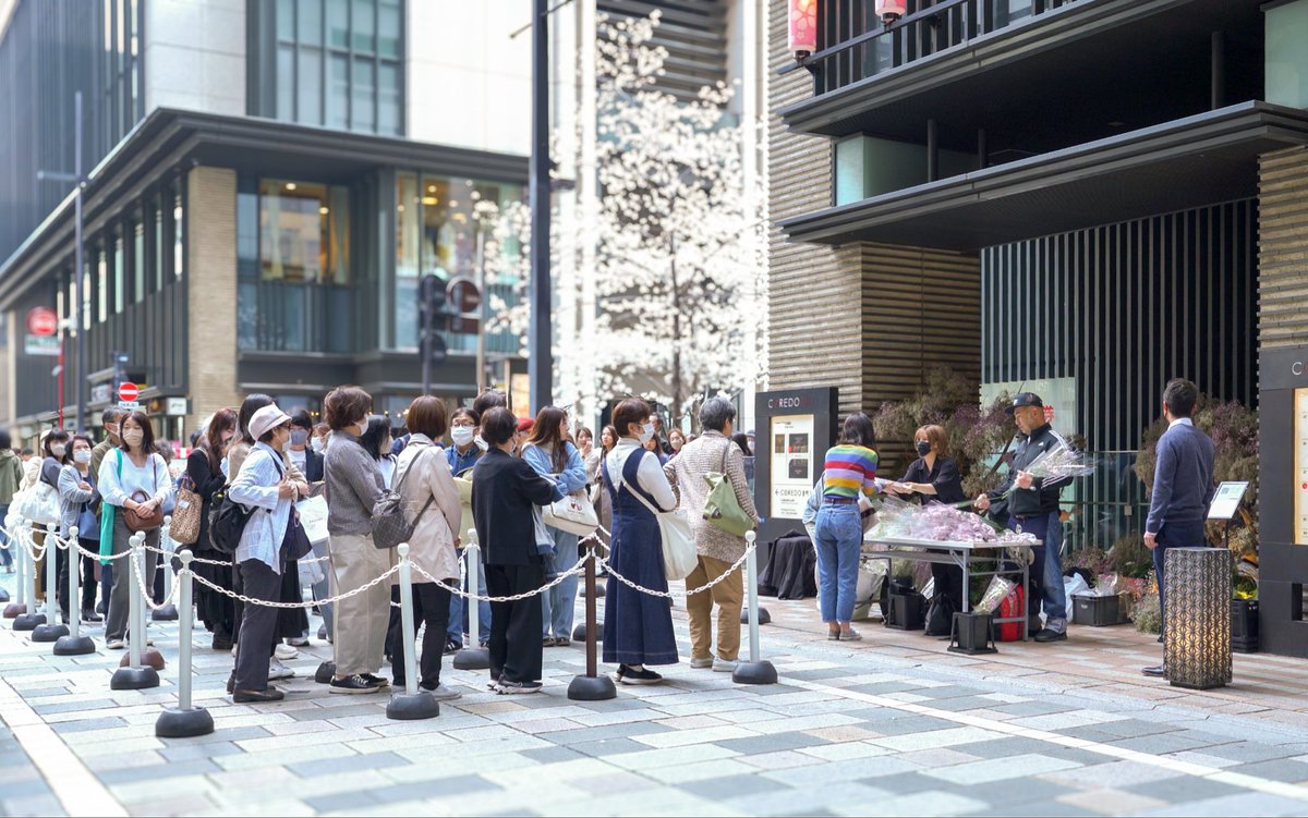 eventnihonbashi's tweet photo. フラワーギフトキャンペーン🌸
この春も、和歌山県みなべいなみの生産者から直送される花束を無料配布します。
配布条件などは桜フェスの公式サイトをご覧ください。

++++++花の無料配布++++++
4/4(土) 
配布場所：カドチ 2
（コレド1と2の出入り口に隣接したスペース）
配布時間：12:00〜 
協力：フラバーズ

※雨天決行･荒天中止
※配布時間は前後する可能性があります
※数量限定配布のため、無くなり次第終了

公式サイトはこちら
https://t.co/PQwYaG4Cj4
