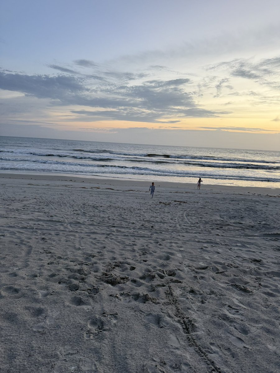 Amy Calandrino, SIOR, CCIM tweet media