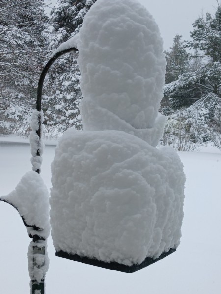 UpNorthLive News tweet media