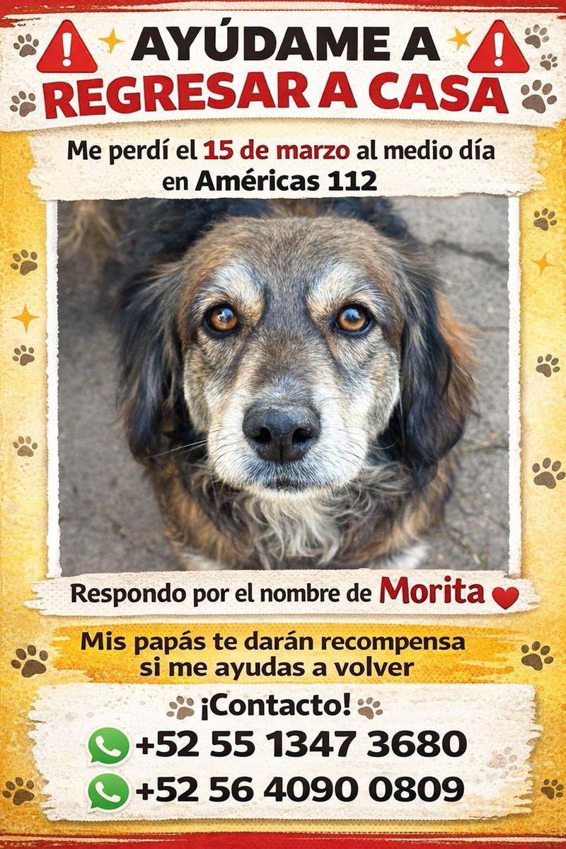 MARLENE 🦋 tweet media