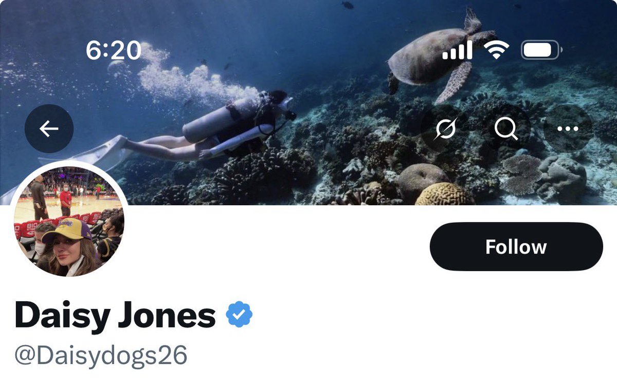 AnneInPeoria tweet media