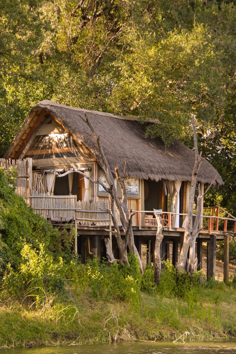 Tebogo Pin-Pin tweet media