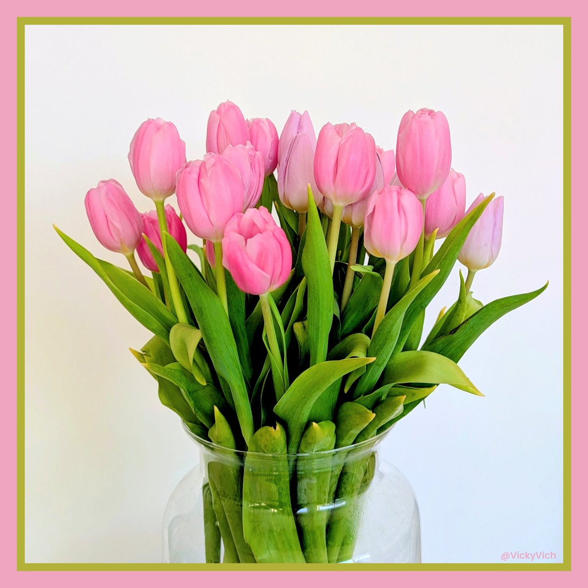 Victoria Vich tweet media