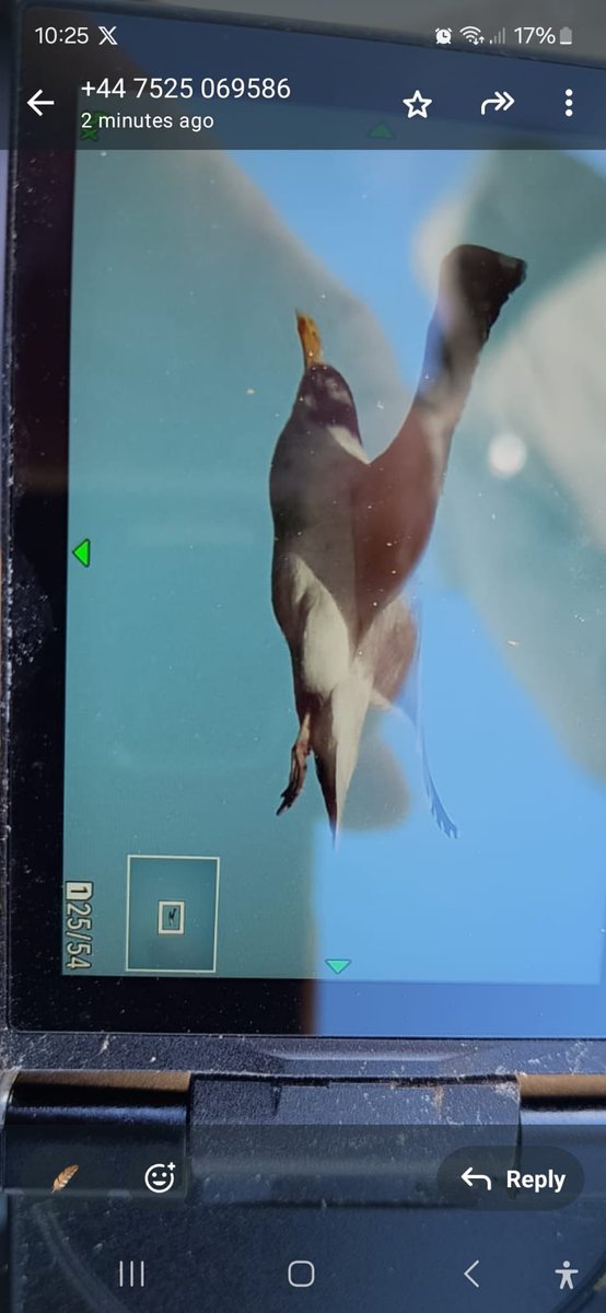 Garry Bagnell tweet media