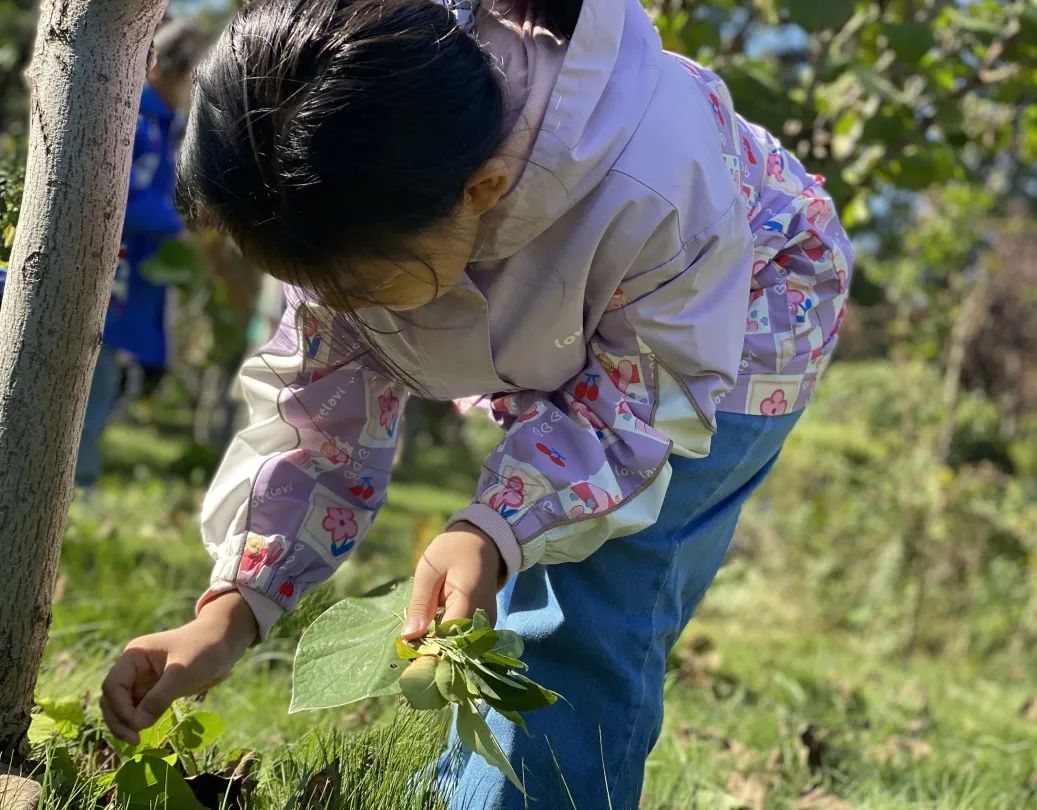 Juan Andrés Morales tweet media