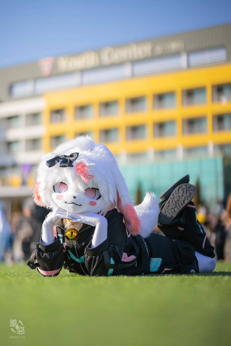 모찌 (Mochi) tweet media