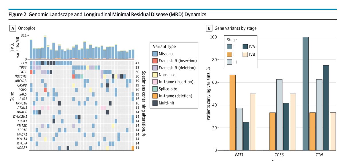 JAMA Otolaryngology – Head & Neck Surgery tweet media
