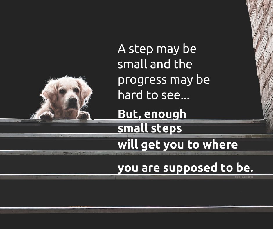 Hunterdon Chamber tweet media