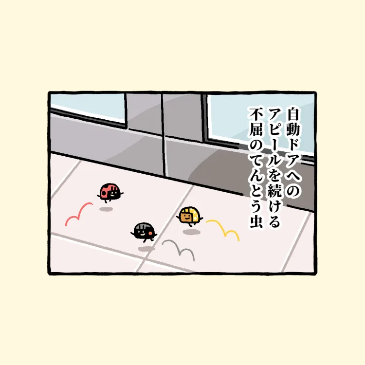 ノザキ：〜4/5ファミマプリント！ tweet media