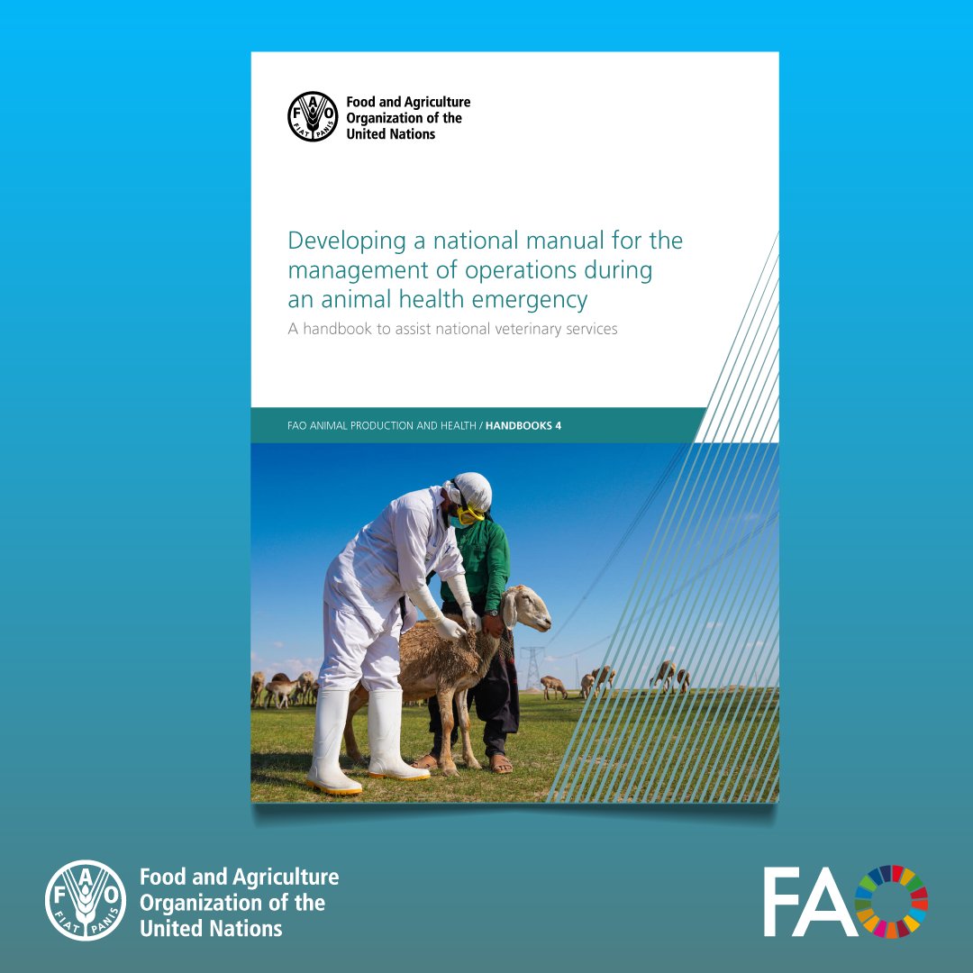 FAOLivestock's tweet photo. Coordination. Communication. Continuous improvement.
@FAO’s new handbook empowers #veterinaryservices to manage #animalhealth emergencies.
🔍 Covering all steps to develop tailored national manuals from stakeholder analysis to official endorsement.
👉 https://t.co/PfRHSUJMCq https://t.co/Jjy0Q7BI4I