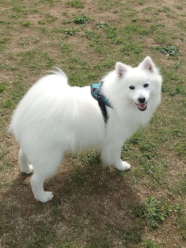 原山実子Jitsuko Harayama tweet media