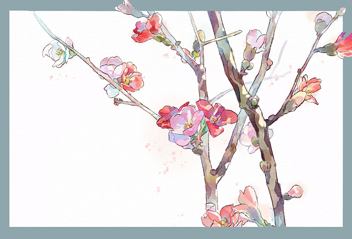 名司生 tweet media