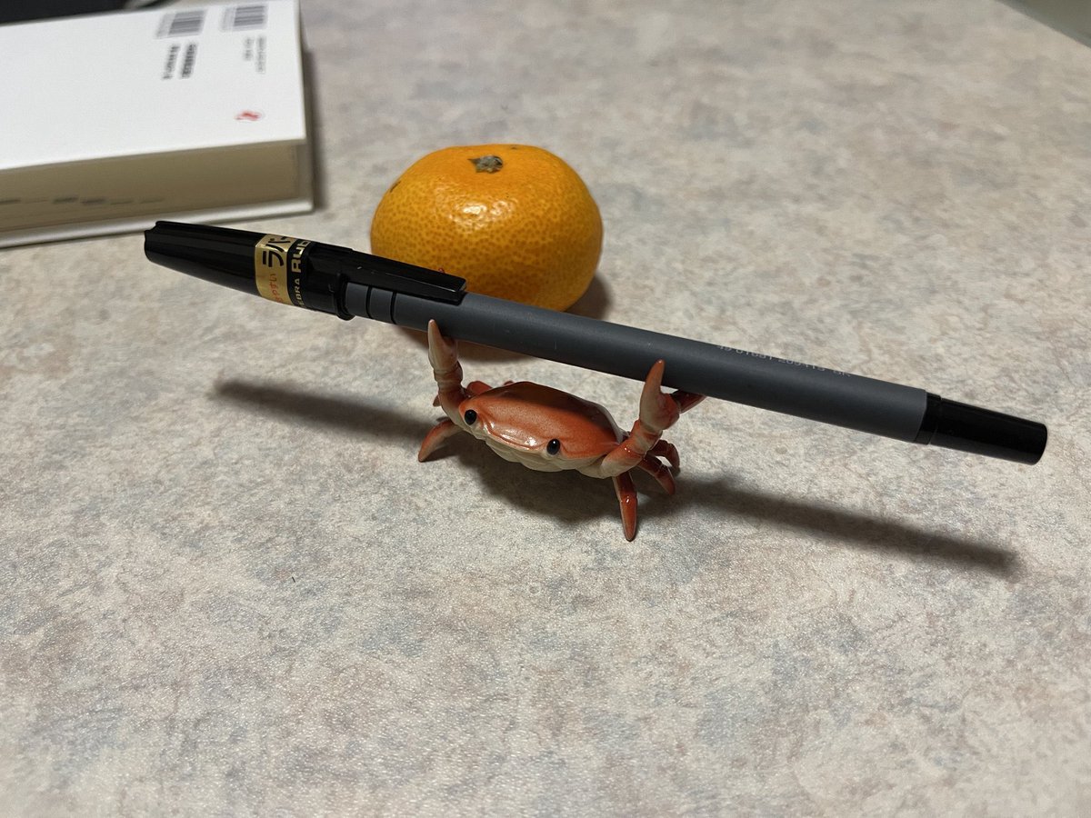 鬼灯すすき tweet media