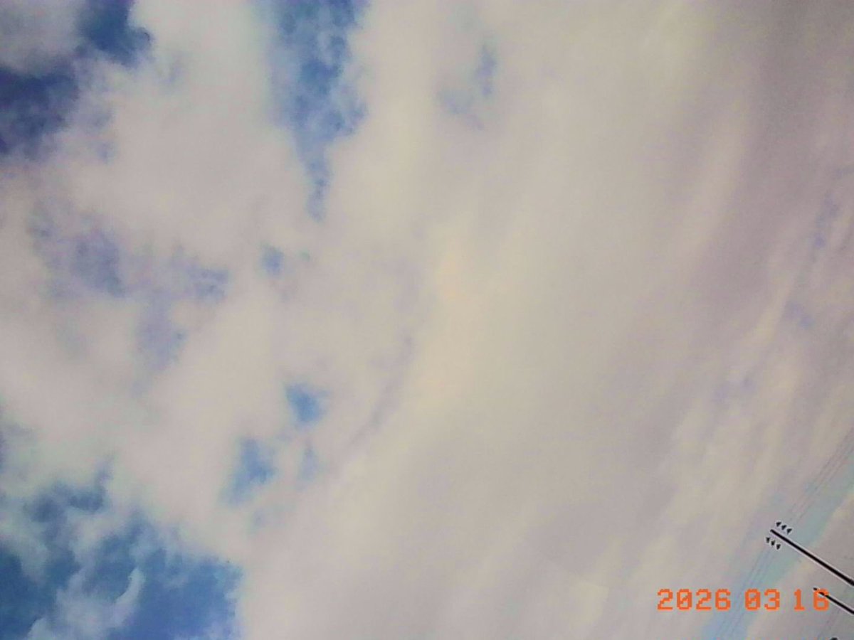 __nito210's tweet image. さっそく撮ってみた..
最高にかわいい🫰🏻 ᩚ

#KODAK #CHARMERA
#kodakcharmera  #トイカメラ #読書