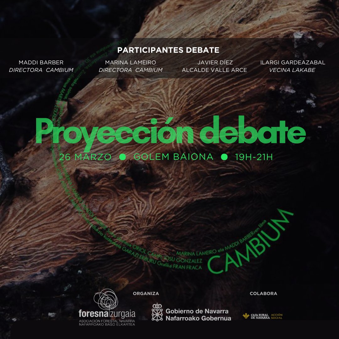 Foresna Zurgaia tweet media