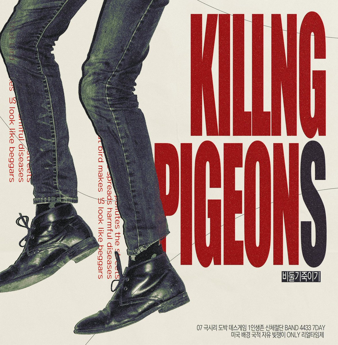 비둘기 죽이기 tweet media