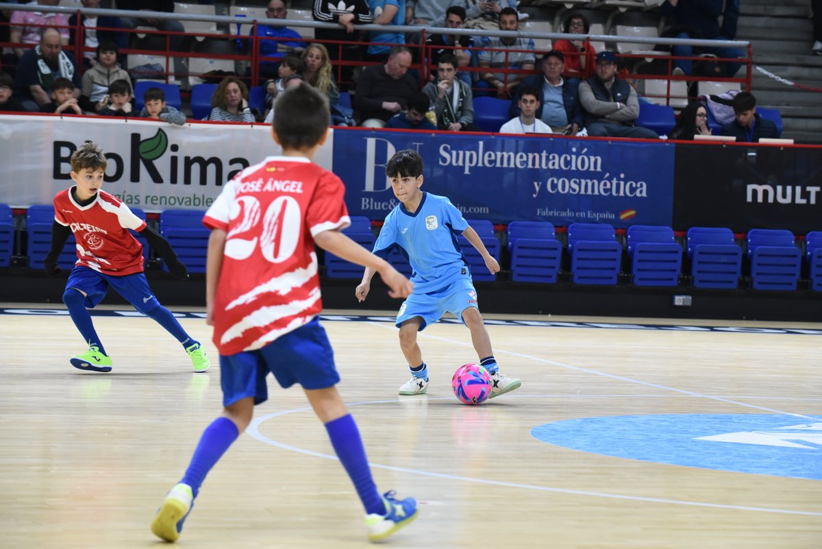 Movistar Inter FS tweet media