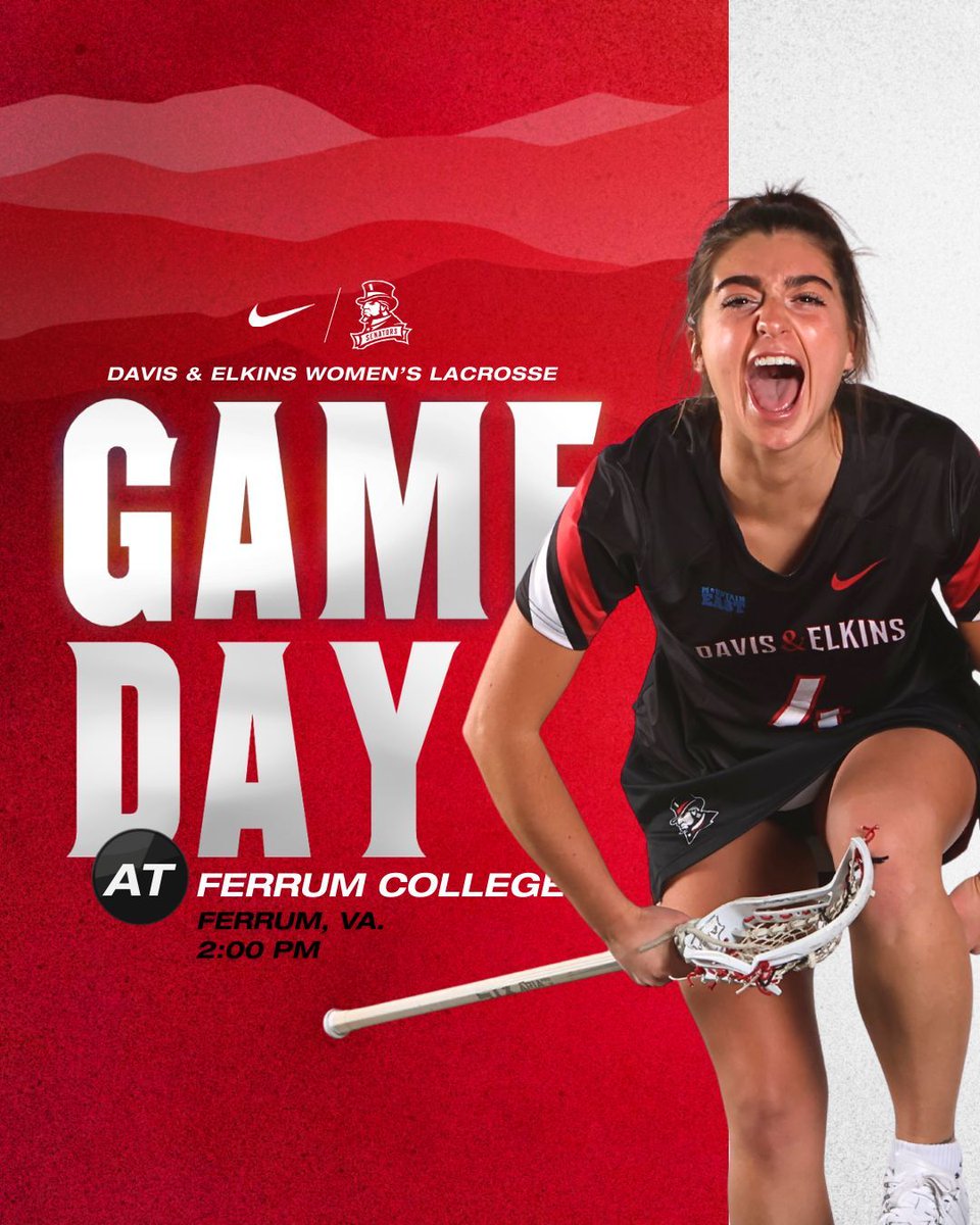 SenatorNation tweet media