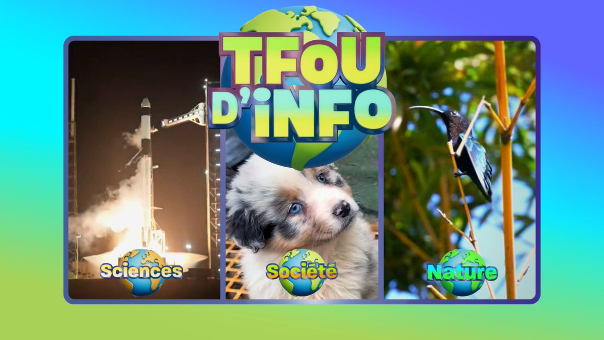 TF1Pro's tweet photo. #TFOUdINFO
Le mag hebdo d'info, tout en images, pour les 6/12 ans
#SCIENCES : Une française astronaute dans l’espace
#SOCIETE : Chiens d’assistance judiciaire
#NATURE : Colibri, un oiseau étonnant
#INFO HOOF : Journée météorologique mondiale
Mercredi 18 mars vers 11h50 @tfx https://t.co/xfkkcD9wAm